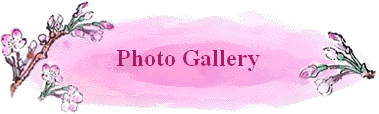 Photo Gallery