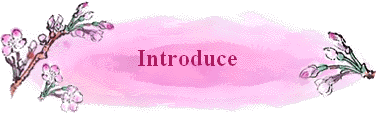 Introduce